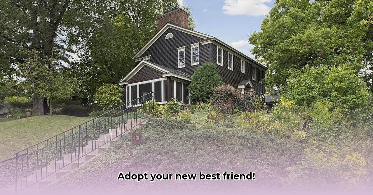 845-meadow-lane-north-golden-valley-mn-55422